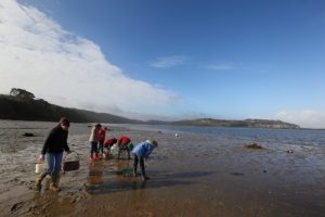 "Pêche a pied" auf der Halbinsel Crozon