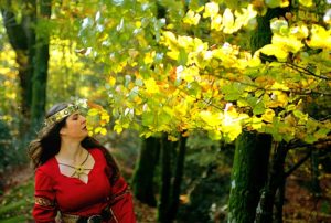 König Arthur in der Bretagne